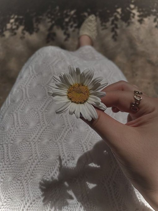 A hand wearing a gold ring holds a white daisy flower over a white crocheted dress in sunlight.