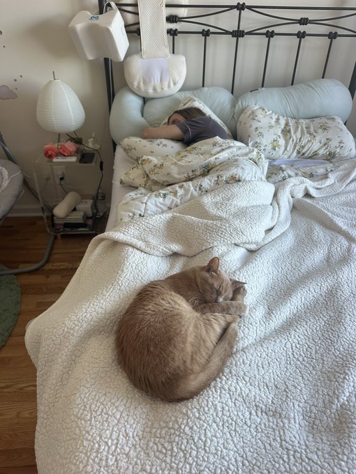 A cat curled up asleep on a white textured bedspread, while a person sleeps in the background under a floral duvet, with a black metal headboard and a nightstand visible.