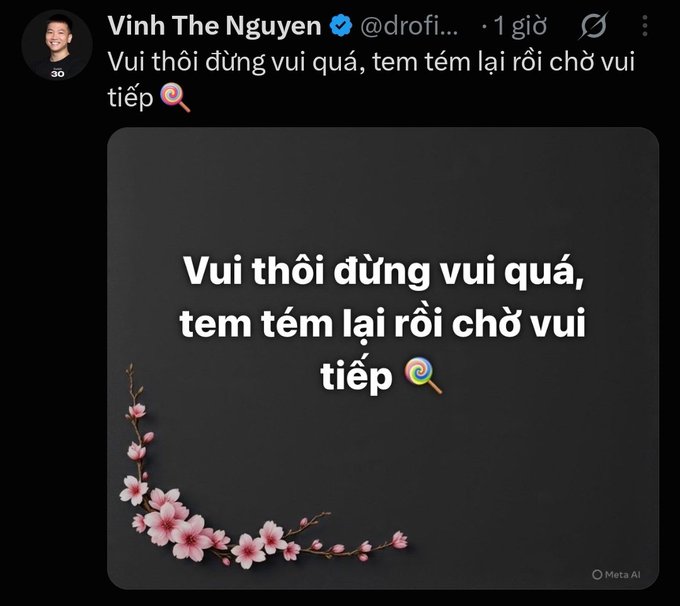 A social media post by 'Vinh The Nguyen' (@drofi...) with Vietnamese text: 'Vui thôi đừng vui quá, tem tém lại rồi chờ vui tiếp 🍭'.