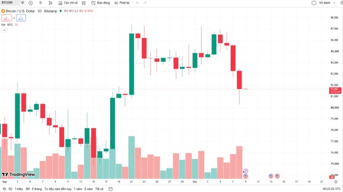 A TradingView candlestick chart for BTC/USD displays daily price action with a current price near $82,006, showing a generally bearish trend with several large red candles.