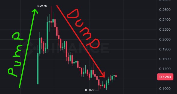 A cryptocurrency price chart labeled "WINU" showing a "PUMP" to a high of 0.2875 followed by a "DUMPE" down to 0.0979, with the current price at 0.1243.