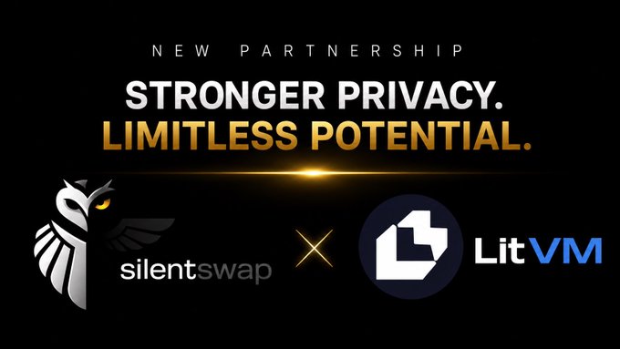 A promotional banner announcing a new partnership between SilentSwap and LitVM with the tagline 'STRONGER PRIVACY. LIMITLESS POTENTIAL.'