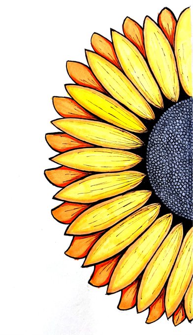 The image features a beautiful illustration of a sunflower, with its vibrant yellow petals and black center. The sunflower is positioned centrally within the frame, drawing attention to its intricate details. The background of the image is white, which contrasts nicely with the bright colors of the sunflower. The text "Good Morning Tuesdays are for art" suggests that this artwork might be a part of an online store or platform where people can purchase prints and support artists.