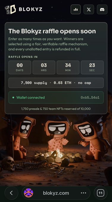 A screenshot of the 'BLOKYZ' NFT raffle website, showing a countdown timer of 00 days, 03 hours, 34 minutes, 23 seconds, with a wallet connected and 'blokyz.com' at the bottom.