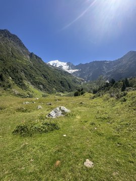 A sunny alpine meadow with snow-capped mountains in the distance under a bright blue sky offers a peaceful retreat from the markets, reflecting the trader's week off to recharge away from the charts.