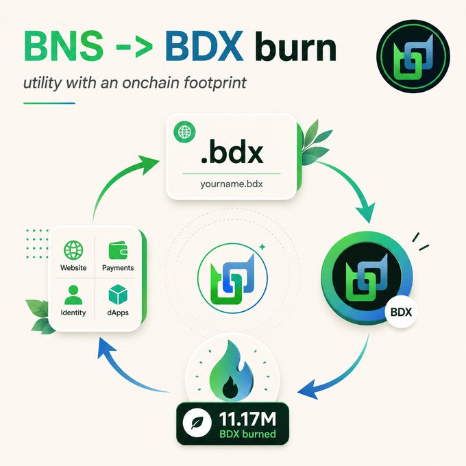 An infographic titled 'BNS -> BDX burn' detailing a utility process, featuring logos for Website, Payments, Identity, and dApps, and showing '11.17M BDX burned'.