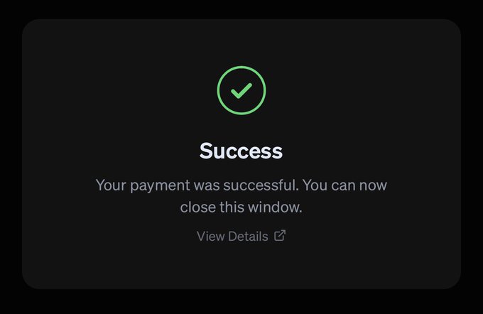 A dark-themed payment confirmation screen displaying a green checkmark with the text 'Success', 'Your payment was successful. You can now close this window.', and a 'View Details' link.