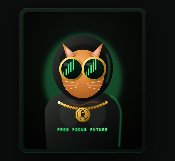An illustration of an orange cat wearing a black hoodie and sunglasses reflecting green trading charts, featuring the text "FROG FOCUS FUTURE" and a gold medallion. The imagery, combined with the hashtags, represents a "meme coin" themed around cryptocurrency trading on the Solana network.
