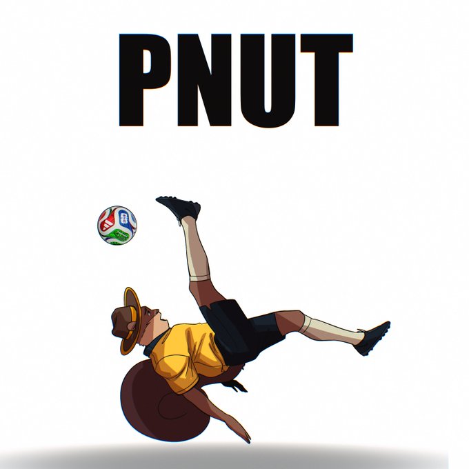 A cartoon illustration of a character in a yellow shirt kicking a ball, with the text 'PNUT' displayed prominently above.