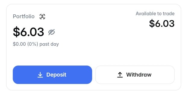 Screenshot of a trading portfolio interface showing a balance of $6.03, $0.00 (0%) past day change, with blue Deposit and white Withdraw buttons.