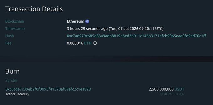 A blockchain transaction details screen showing an Ethereum transaction with a 2,500,000,000 USDT burn from Tether Treasury.