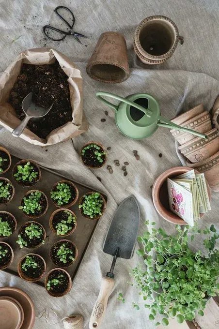 A flat lay of gardening items including seedling pots, a bag of soil, terracotta pots, a green watering can, scissors, seed packets, and a small trowel arranged on linen fabric.