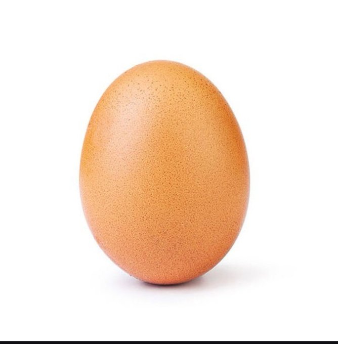A single brown egg standing upright on a white background, with no visible text—perfectly inviting playful wrong-answer guesses like "a chicken's stress ball" or "the sun's baby."