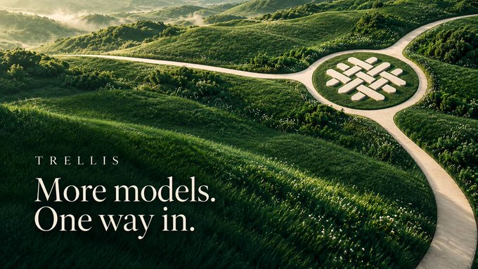 An aerial view of a green landscape with winding paths leading to a central hub, overlaid with the text 'TRELLIS More models. One way in.'