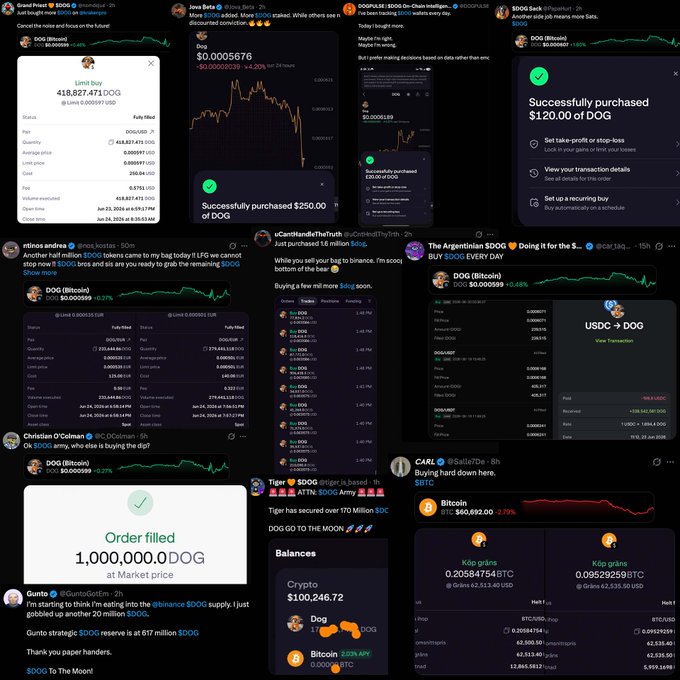 The image shows a collage of various social media posts, including tweets from different people who have posted about Bitcoin trading. The posts are arranged in a grid format with each row representing a different person or account. Some of the posts include information about Bitcoin trading, while others discuss other topics such as gaming and cryptocurrency news. The collage contains a diverse range of content related to Bitcoin and social media platforms like Twitter and Instagram.