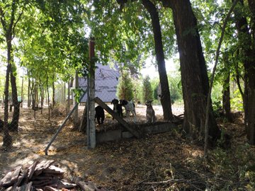 A wooden gate with a white sign stands at the entrance to a wooded area, surrounded by trees and dappled sunlight.