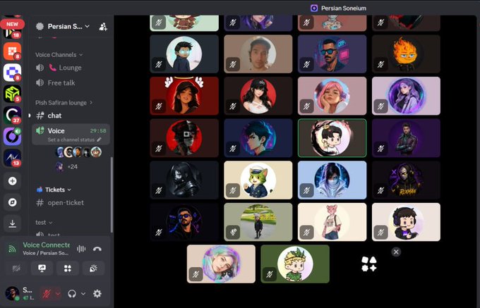 A Discord server called 'Persian Sonelium' showing voice channels and a grid of user avatars with various profile pictures.