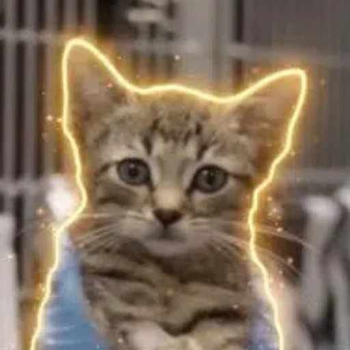 A close-up of a tabby kitten with a glowing golden outline around its head, giving it an "AGI super intelligence" or enlightened appearance, fitting the post's theme about the newly launched $AGI token for "Amphibian Giga Intelligence."