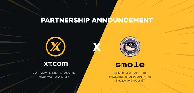 A partnership announcement graphic featuring XT.com ("Gateway to Digital Assets, Highway to Wealth") and Smole ("A SMOL MOLE and the Smolest $SMOLECOIN in the Smolana Smolnet") separated by a dividing line with the text "PARTNERSHIP ANNOUNCEMENT" at the top. The image relates to the post by highlighting another exchange listing collaboration, following a pattern of memecoin partnerships with tier-1 exchanges like the ones mentioned.