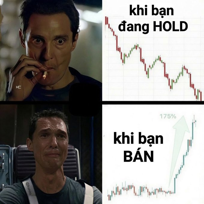 A meme with Vietnamese text 'khi bạn đang HOLD' (when you are holding) showing a stock chart declining next to a worried-looking man, and 'khi bạn BÁN' (when you sell) showing a 175% price increase next to the same man crying.