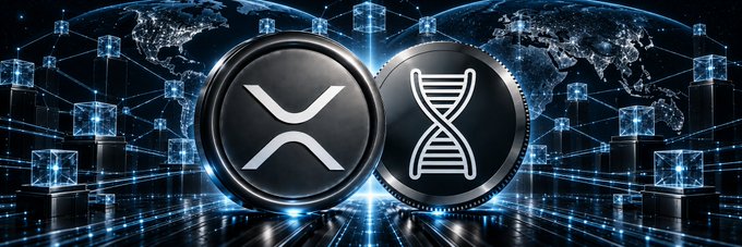 Two metallic crypto coins—one displaying the XRP logo and the other an X-DNA helix symbol—float above a digital grid of glowing blue data cubes and a world map, symbolizing blockchain networks spanning the globe. The image visually reinforces the post's theme of how cross-border digital asset rails (like XRP) increasingly require identity verification and data custody at every transaction hop.