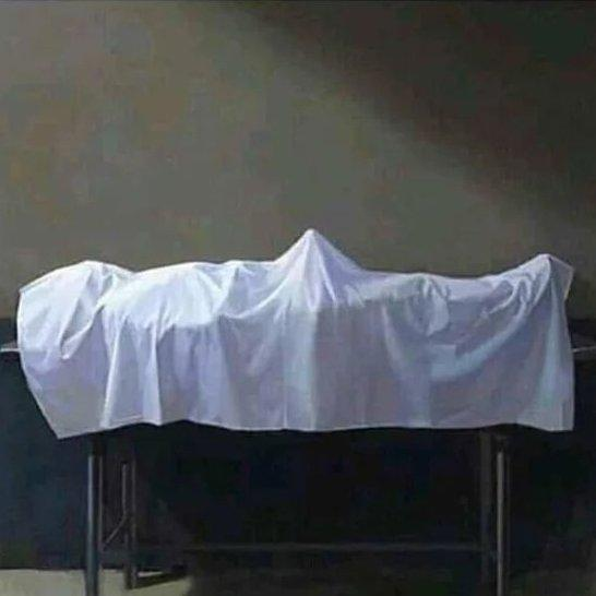 An oil painting depicts a mysterious object completely draped in a flowing white cloth, resting on a simple wooden table against a dark background.