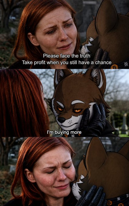 A three-panel meme using the 'Please face the truth' scene from Dragon Age featuring a wolf character, with captions 'Please face the truth / Take profit when you still have a chance' and 'I'm buying more', ending with the woman crying.