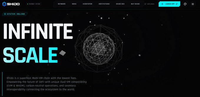 A webpage screenshot for 'SHIDO' displaying 'INFINITE SCALE' and describing it as a superfast Multi-VM chain with dual-VM compatibility.