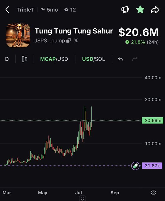 The image displays a 5-month price chart for the meme coin "Tung Tung Tung Sahur" ($TripleT) on the Solana blockchain, showing a steady uptrend from $31.87k to a current market cap of $20.6M (up 21.8% in 24h), with the price touching its all-time high near $20.56m. This visually reinforces the post's point that the chart has been slowly moving up over 5 months while successfully hitting ATH—standing in contrast to the "8 figure runners on Robinhood" that fade after a week.