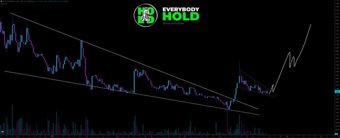 A candlestick chart displays the price action of the $HOLD cryptocurrency (Ethereum contract address 0x68b36248477277865c64dfc78884ef80577078f3) with the "EVERYBODY HOLD" logo at the top, showing a descending wedge pattern with a white projection line pointing sharply upward to suggest bullish continuation.