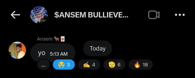 A screenshot of a Snapchat chat from 'Ansem 🐎🧻' showing a 'yo' message at 5:13 AM, followed by reaction emojis: a crying face, a pointing finger, a flushed face, and a fire emoji.