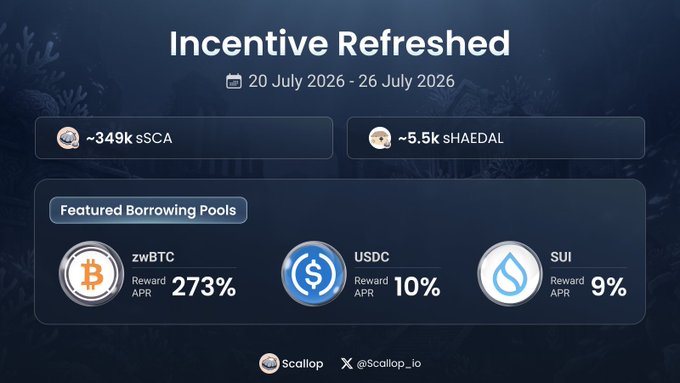 A Scallop Finance promotional graphic titled 'Incentive Refreshed' (20-26 July 2026) featuring ~349k sSCA and ~5.5k sHAEDAL rewards, with featured borrowing pools for zwBTC (273% APR), USDC (10% APR), and SUI (9% APR).