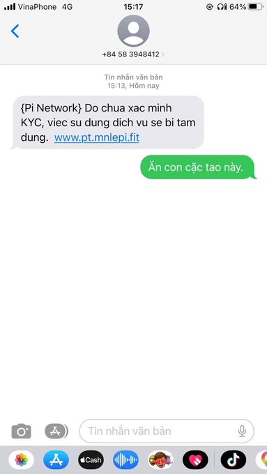 A screenshot of a Vietnamese text message conversation where a contact from Pi Network asks the user to be careful with a service, and the user replies 'Ăn con các tảo này.'