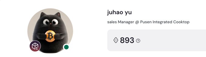 A user profile card for 'juhao yu', a sales Manager @ 'Pusen Integrated Cooktop', featuring an avatar of a black cat holding a Bitcoin, and a score of 893.
