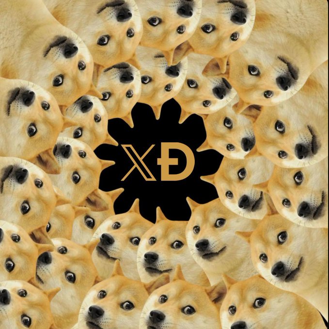 A repeating collage of Shiba Inu doge faces surrounds a central black splat logo displaying the 'XD' cryptocurrency ticker in gold.