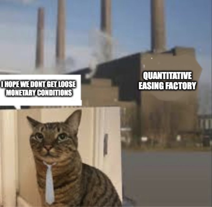 A worried-looking tabby cat wearing a tie sits in a car, with a speech bubble saying "I hope we don't get loose monetary conditions," while approaching a large industrial facility labeled "QUANTITATIVE EASING FACTORY."