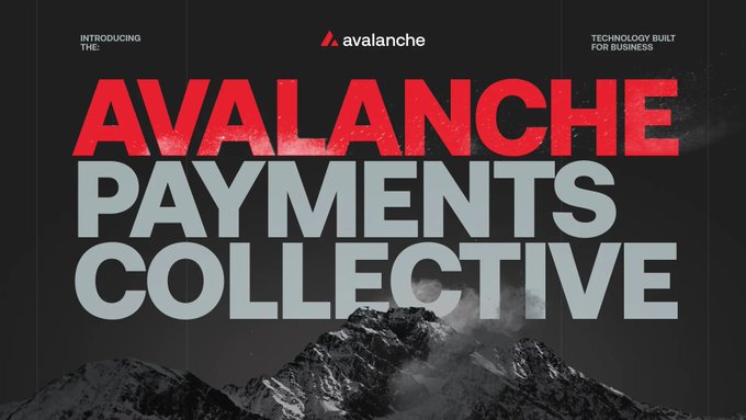 A promotional banner introducing the 'AVALANCHE PAYMENTS COLLECTIVE' by Avalanche, described as 'TECHNOLOGY BUILT FOR BUSINESS,' set against a snowy mountain landscape.