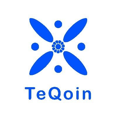 A logo for 'TeQOin' featuring a blue geometric flower or star design with four petals and surrounding dots.