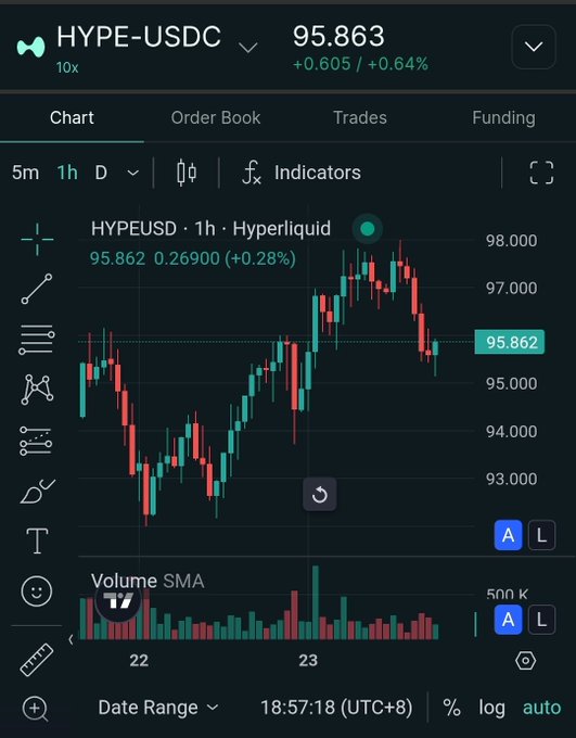 A trading chart showing HYPE-USDC perpetual contract at 95.863 (+0.64%) on Hyperliquid, displaying 1-hour candlestick data.