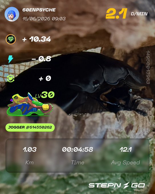 A black picture of a dragon with a yellow head and green body, sitting on top of rocks behind some greenery, next to a screen displaying the time and distance during exercise.