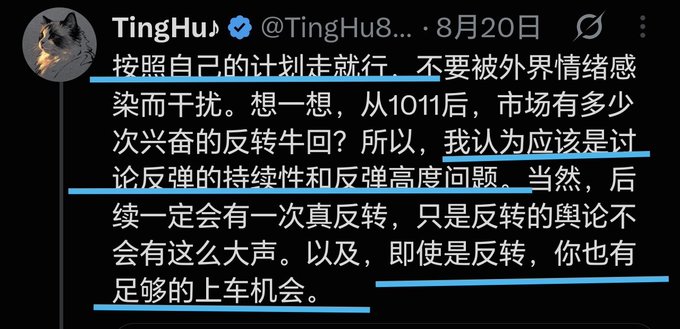 A Chinese text post on X (Twitter) by user TingHu (@TingHu8) dated August 20, with blue lines underlining parts of the text about market rebound sustainability.
