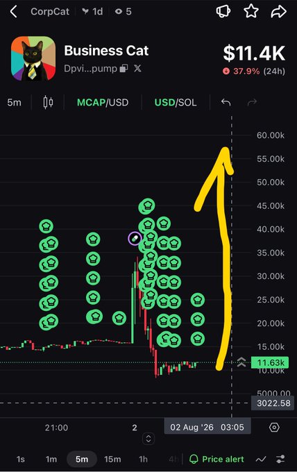Trading chart for 'Business Cat' token (CorpCat) showing a $11.4K market cap with a -37.9% (24h) change, featuring numerous green cat icons and a hand-drawn yellow arrow pointing upward to the recent price spike.
