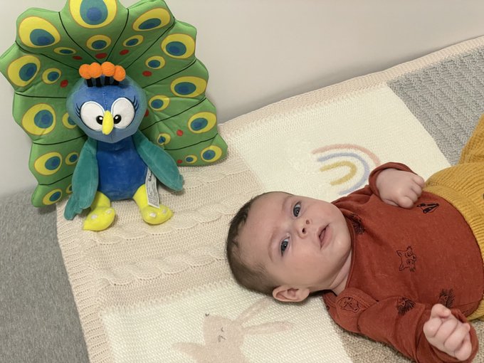 A baby in a rust-orange shirt lying on a play mat, looking up at the camera, with a plush peacock toy nearby.