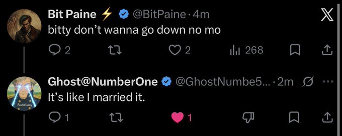 Two tweets shown on X (Twitter) from verified users: Bit Paine (@BitPaine) posting "bitty don't wanna go down no mo" with 268 views, and Ghost@NumberOne (@GhostNumbe5...) replying "It's like I married it."