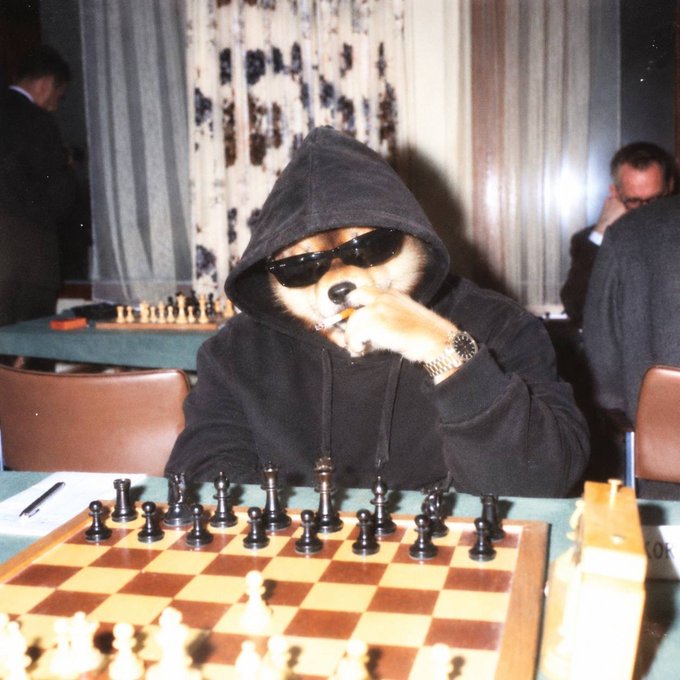 A dog dressed in a black hoodie and sunglasses sits at a chessboard, posed in deep thought with its paw to its face, with people visible in the background.