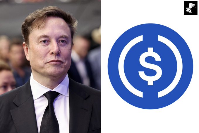 A side-by-side image of Elon Musk next to a blue circular USDC (USD Coin) stablecoin logo with a dollar sign.
