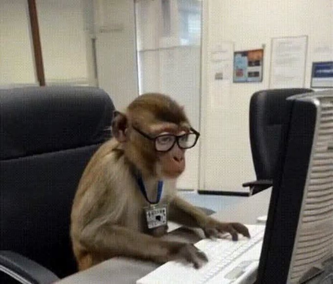 A humorous edited photo of a monkey wearing glasses and a lanyard sitting at an office desk, appearing to type on a computer keyboard.