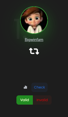 A dark screen showing a user profile named 'Bigwinfam' with a cartoon avatar, featuring Check, Valid, and Invalid buttons.