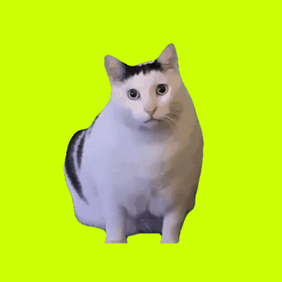 A white and black cat sits against a bright green background with a slightly puzzled expression.