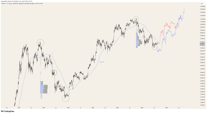 This Bitcoin $BTC price chart, dated Aug 9, 2024, shows past performance and potential future price projections, including historical peaks and troughs circled, and volume profile indicators.